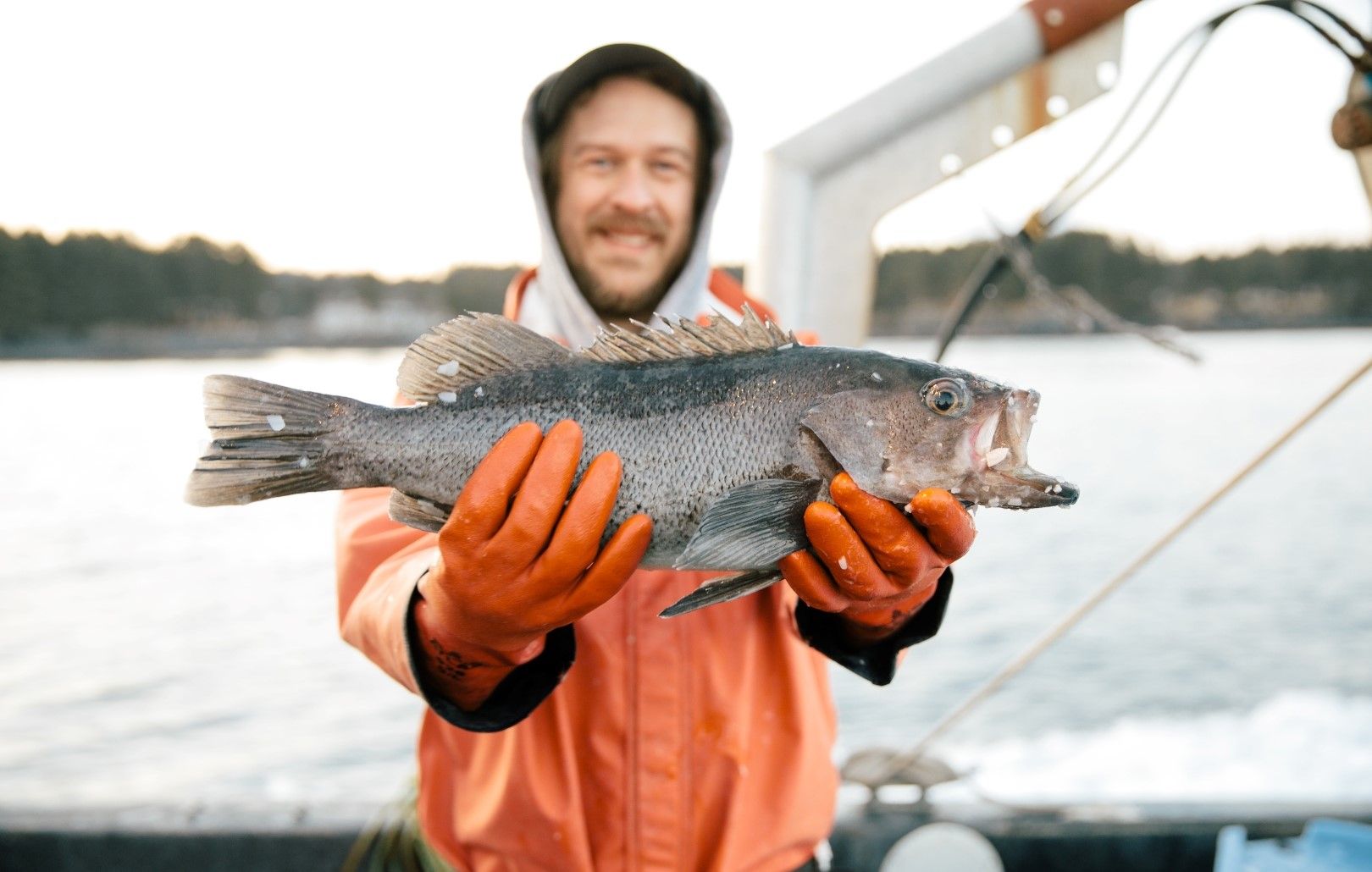 black_rockfish_with_ryan_horwath.jpg