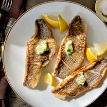 Black Sea Bass Bundle