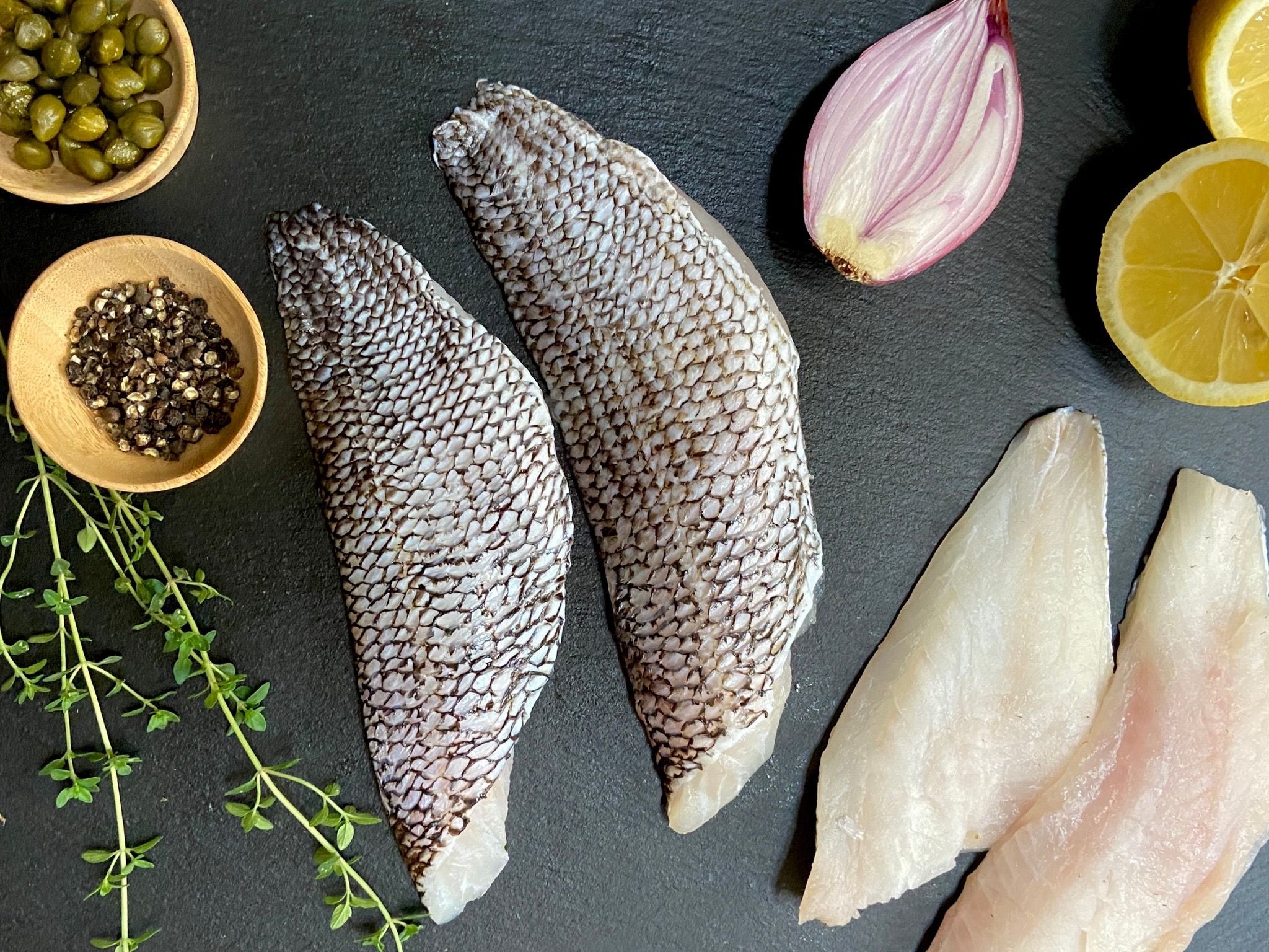black_sea_bass_oh1.jpg