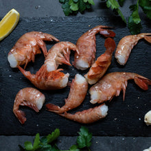 Spot Shrimp Bundle