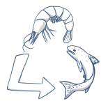 recycl-o-fish_1.png