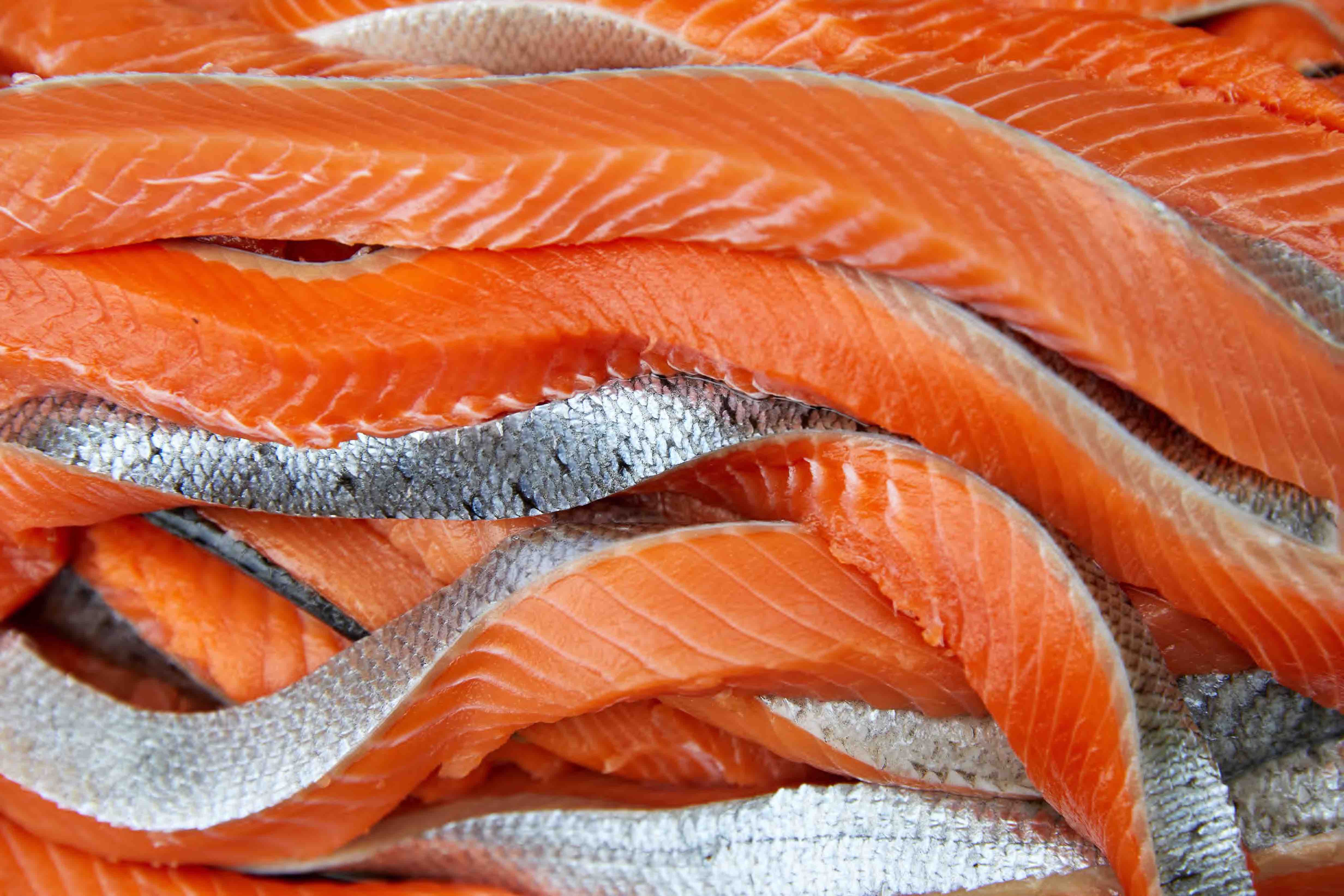 small_king_salmon_strips_smo_bruhl_2021_skyler_creative28.jpg